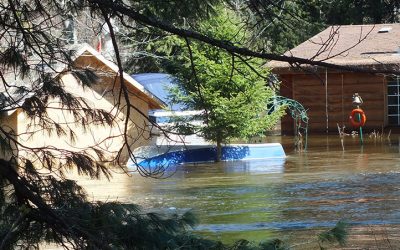 Water, Water, Water – IBABC