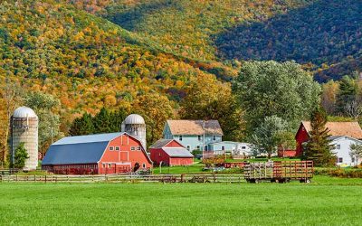 Farm Insurance #62892