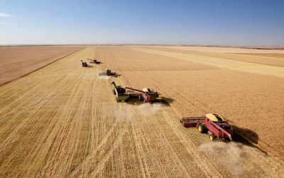 Saskatchewan Farm Insurance-IBAS