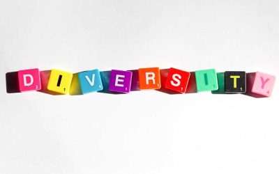 Diversity Basics: The Foundation