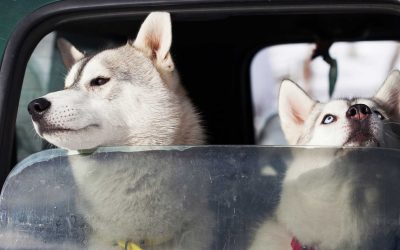 Understanding the Ontario Take-All-Comers Rule