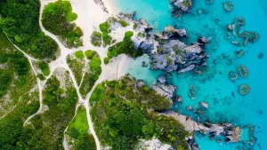 Understanding Captive Insurance