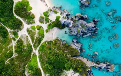 Understanding Captive Insurance