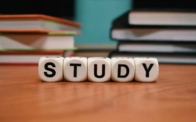 RIBO Level One Licensing Program