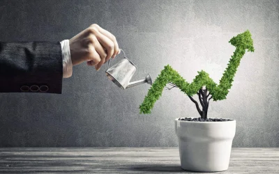 Segregated Funds 101 – Structure, Tax & Protection