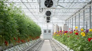 Canadian Greenhouses: Risk Management and Insurance Essentials